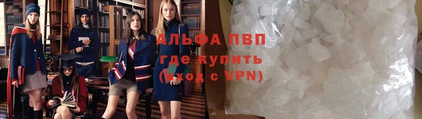 a pvp Белокуриха