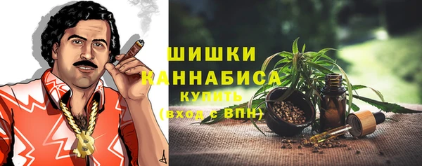 a pvp Белокуриха