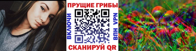Псилоцибиновые грибы Psilocybe  Кондрово 